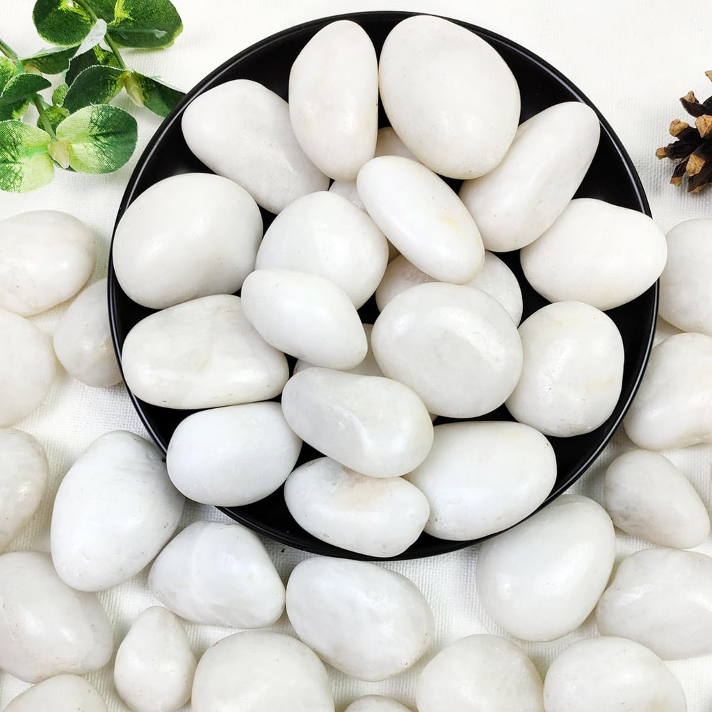40lbs White River Rocks for Garden Landscaping, 1-2 Inch Natural Pebbles for Indoor Plants, High Polished Decorative Stones Outdoor and Indoor DIY Vase Filler Fish Tank Aquariums