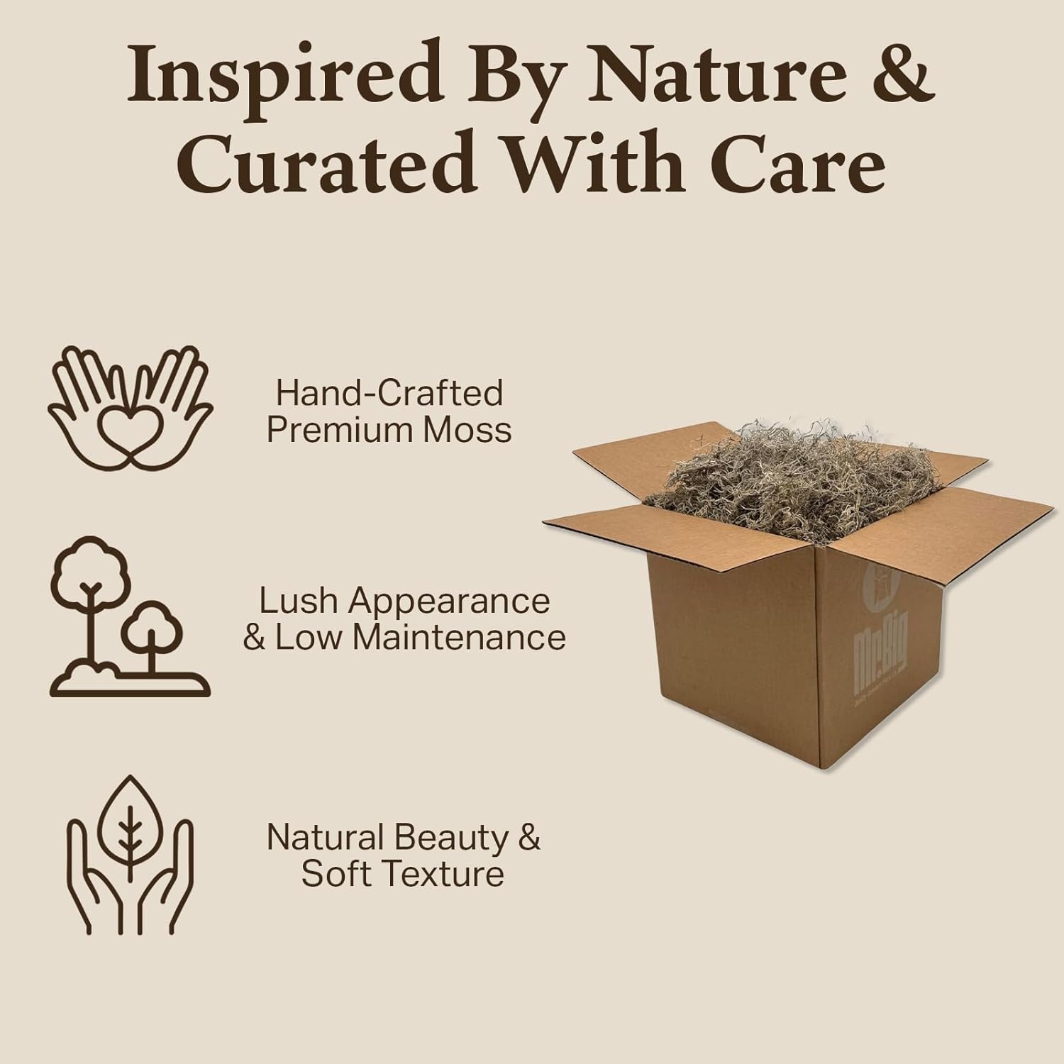 Preserved Spanish Moss - Decorative Moss - Dried for Crafts, Home Decor, Art, Design & DIY Projects - for Indoor Use - Natural - Standard Box - Covers 10-12 sq. ft.