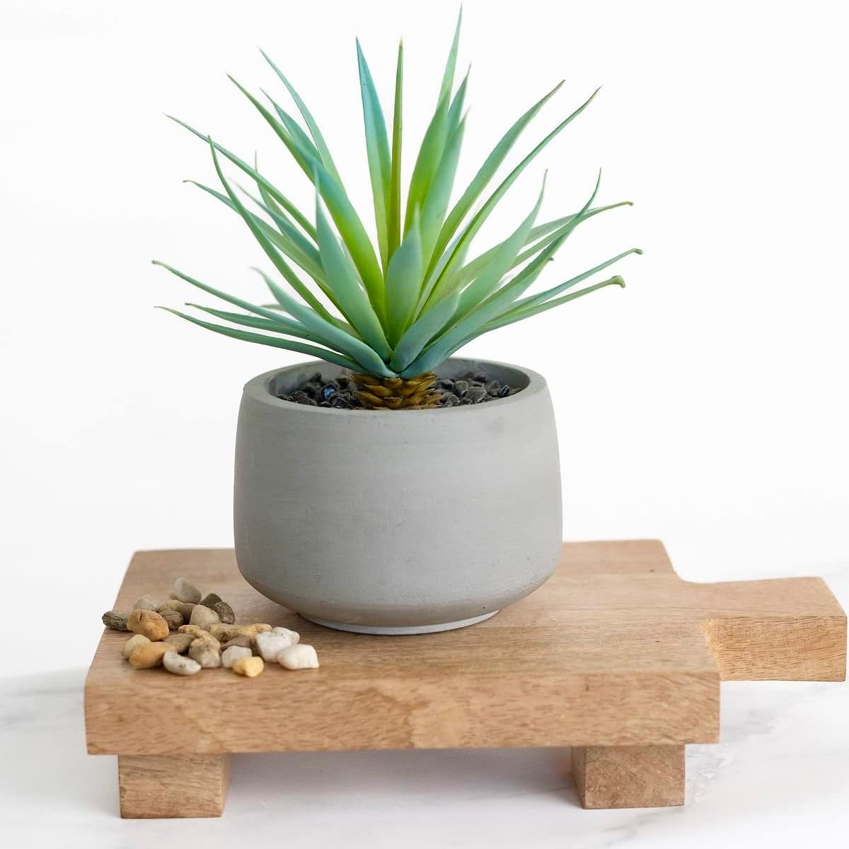 Kurrajong Farmhouse Artificial Plant | 7" high Fake Plant | Artificial Succulent in Pot | Fake Succulent | Faux Plant Indoor | Faux Greenery Desk Decor