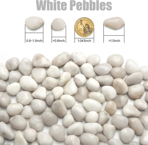 1 Pack 5 Lbs Random Color River Rocks for Plants,0.8-1.5 Inch Decorative Ornamental Pebbels, High Polished Stones for Garden Landscaping, Smooth Gravel Filler, Succulents, Fish Tank, White/Yellow
