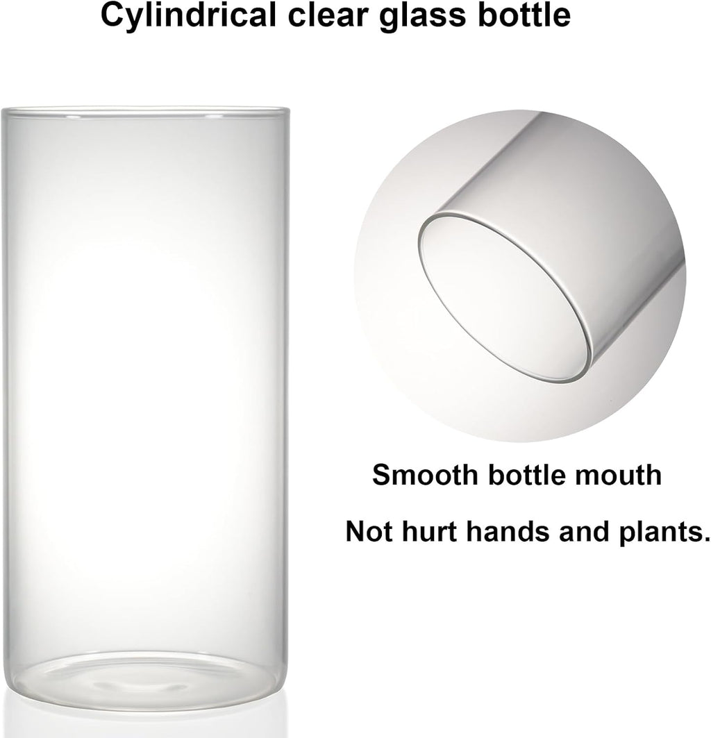 Desktop Glass Plant Terrarium with Grow Light (H:7.8" D:4"), for Succulent, Moss, Miniature Gardening Landscape, Betta Fish Tank, Office Home Decoration, Plant Lovers Gifts