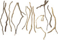 Hamiledyi Natural Driftwood for Aquarium Decor - Red Moor Wood 10"-15" Long Assorted Shapes (100g) Safe Branches for Fish Tank & Reptile Habitat - Natural Aquarium Wood Decorations (Delicate branches)