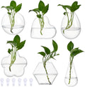 NBEADS 6 Pcs 6 Styles Wall Hanging Planter, Propagation Station Wall Planter Glass Hanging Vase for Indoor Plants, Home Living Room Office Decor