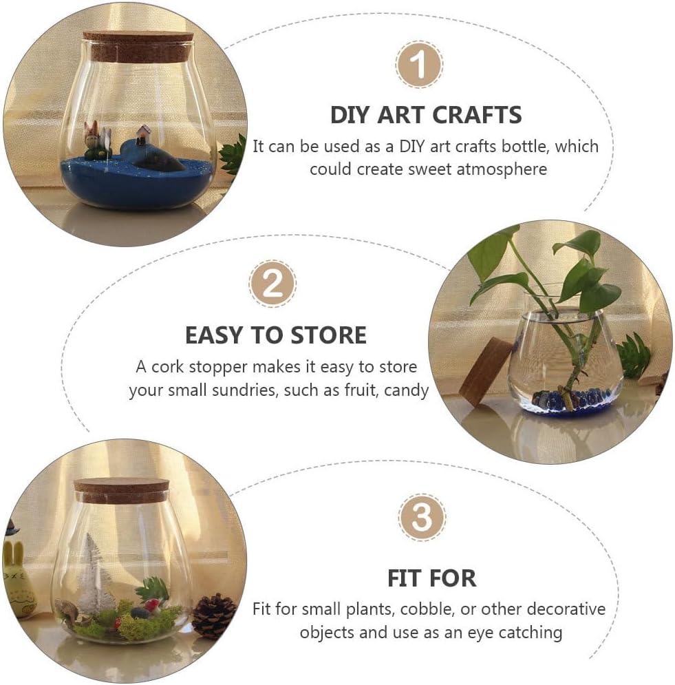 HOMSFOU Round Glass Jar Plant Terrarium Tabletop Succulent Planter balls Buds Vase Wish Bottle Candy Cookie Jar Canister with Cork Lid for Fern Air Plant