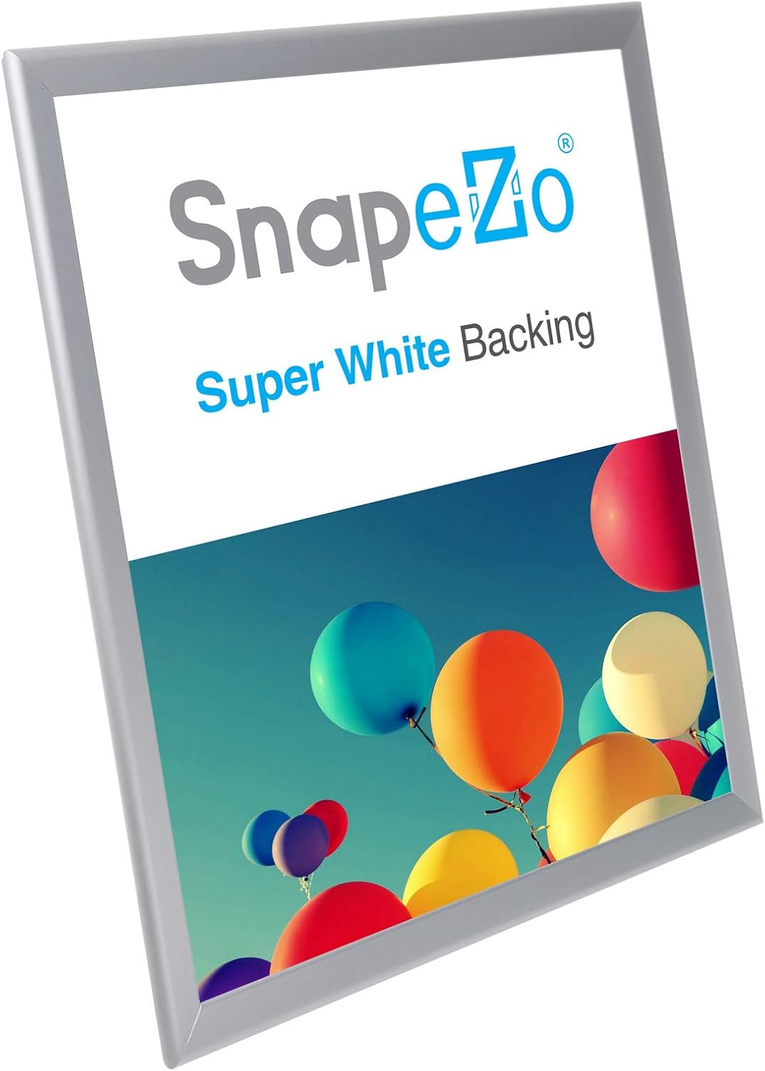 SnapeZo Poster Frame 22x28, Silver, 1.25 Inch Aluminum Profile, Front-Loading Snap Frame, Wall Mounting, Professional Series
