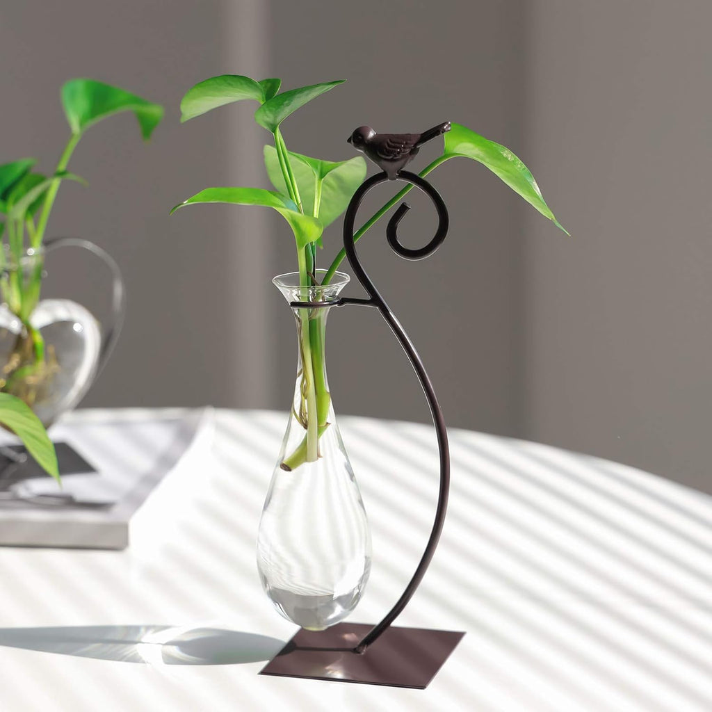 Marbrasse Desktop Glass Planter Hydroponics Vase,Planter Bulb Vase with Holder for Home Decoration,Modern Creative Bird Plant Terrarium Stand, Scindapsus Container (Water Drop Vase)
