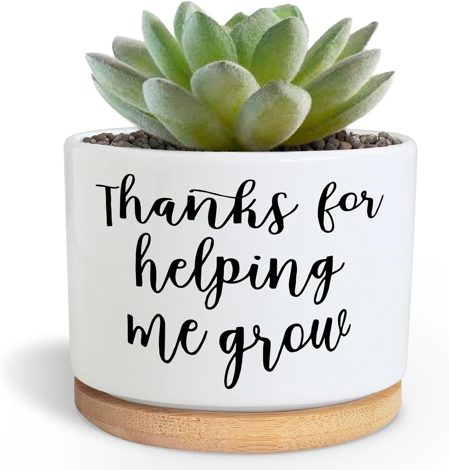 Teachers Appreciation Gift, 3.5 inch Ceramic Succulent Cactus Planter Pots for Indoor Outdoor, Thank You Gift for Mom Teacher Plant Lover Birthday Christmas Teacher's Day (No Plants)