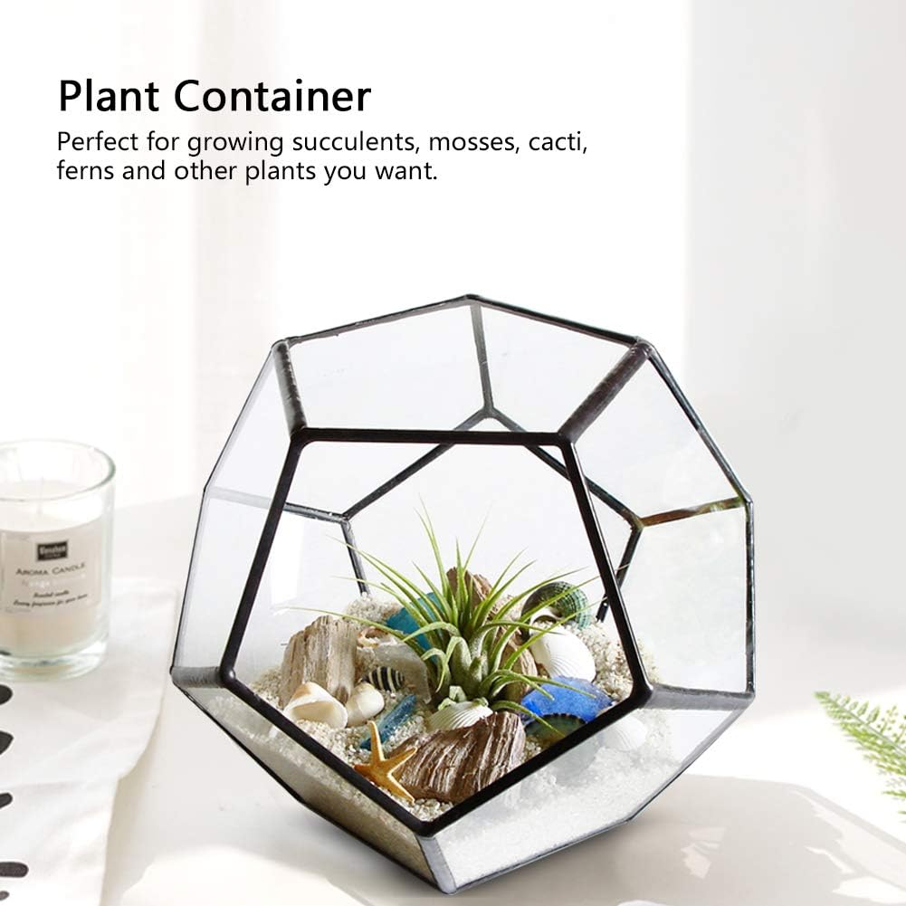 Black Geometric Glass Terrarium Planter Pentagon Flower Pot Glass Terrarium Container for Succulents Fern Air Plants Mini Tabletop Decor Centerpiece