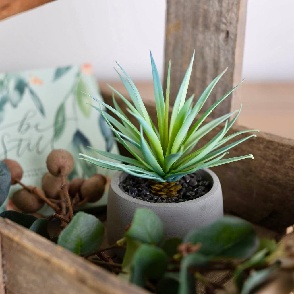 Kurrajong Farmhouse Artificial Plant | 7" high Fake Plant | Artificial Succulent in Pot | Fake Succulent | Faux Plant Indoor | Faux Greenery Desk Decor