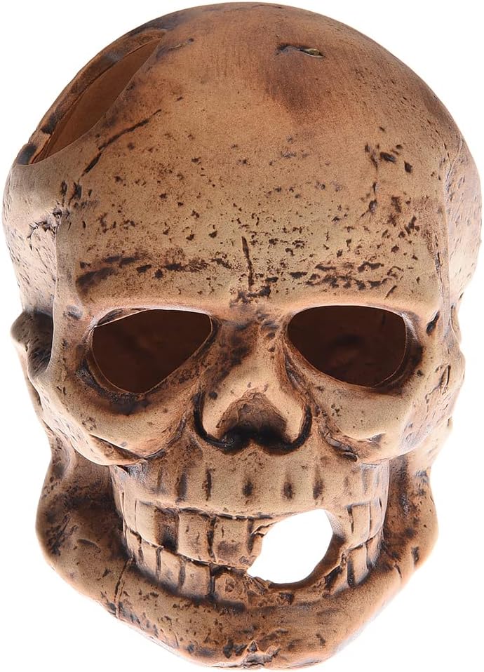 ALEGI Aquarium Decoration Hideaway Rock Cave for Betta Shrimp Cichlid Hiding Breeding Spawning (Ceramic Skull)