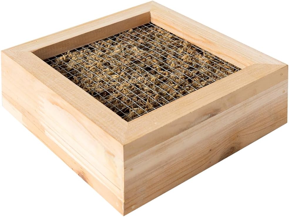 SuperMoss (22312) Sphagnum Moss Living Frame with Solid Wood Design | Succulent Wall Planter for Indoor and Outdoor Home Decor, Wall Art, Farmhouse Decor, and Living Room Wall Display, 6” x 6”