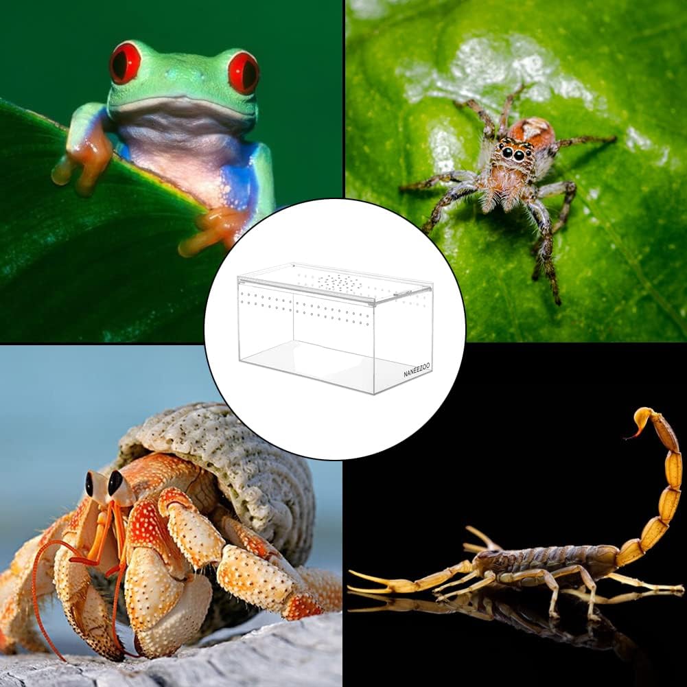 NANEEZOO Magnetic Acrylic Reptile Terrarium Enclosure, 8" x 4" x 4" Reptile Insect Breeding Box for Small Reptiles, Invertebrates, Mantis, Spider, Cricket, Tarantula