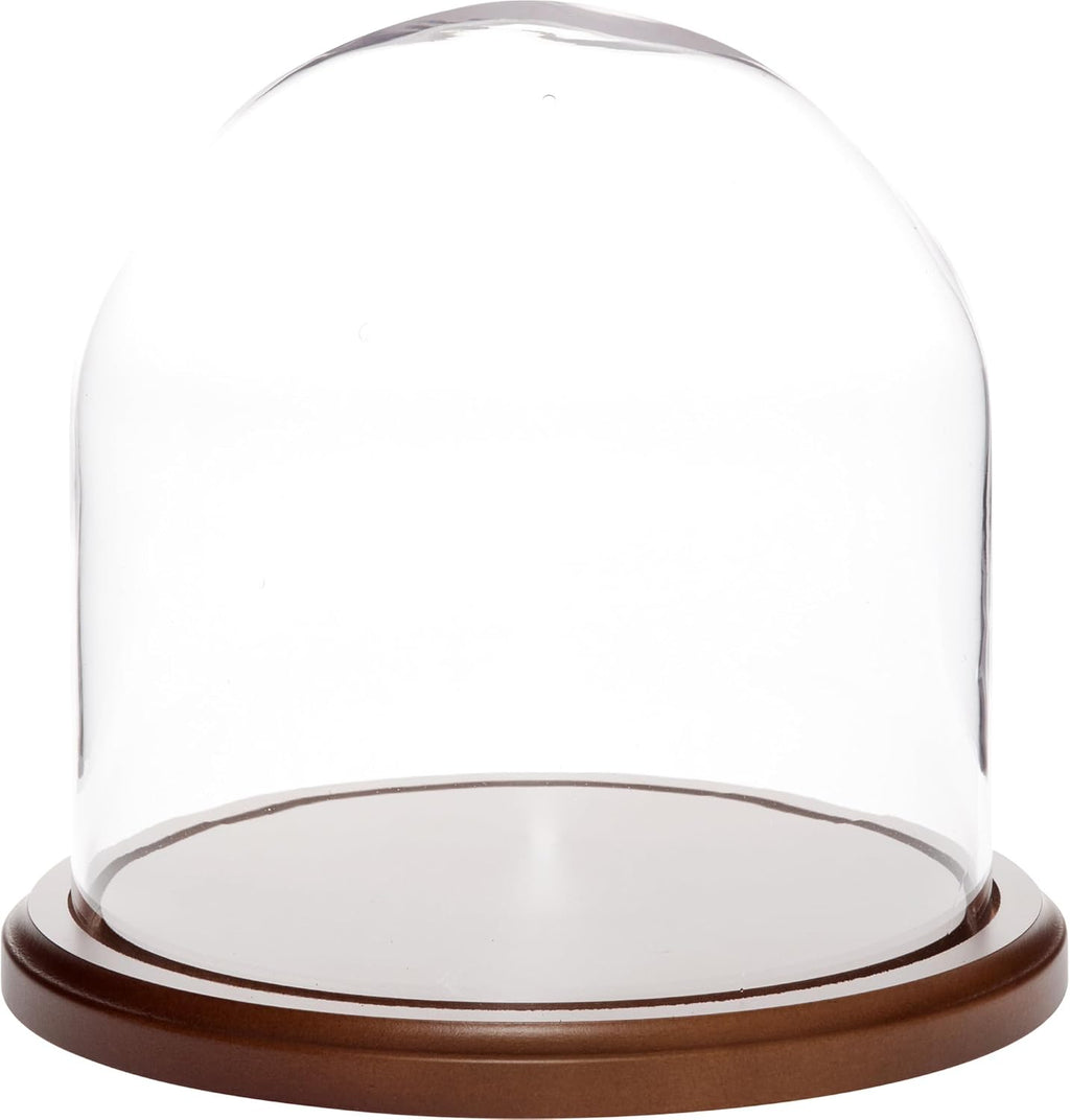 Plymor 8 inch x 8 inch Glass Display Dome Cloche (Dark Wood Base)