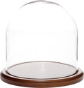 Plymor 8 inch x 8 inch Glass Display Dome Cloche (Dark Wood Base)