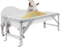 Livestock Feed Trough with Metal Stand 39" Long Large Capacity Livestock Feeder for Lambs Foals Calves Sheep Horses Alpacas and Goats in Farm (Silver+White)