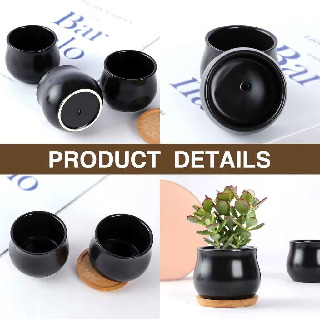 2 Pack Succulent Pots, 2.5 Inch Mini Ceramic Pots for Flower or Cactus Plants with Drainage Hole,Plants Not Included (Black)
