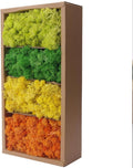 Preserved Moss-1.1lb 4 Color Mix Pack Reindeer Craft Moss, Green Moss Artificial Moss Suitable for Flowerbeds, Crafts, Home Office Artistic Decoration(Green Tones-5)