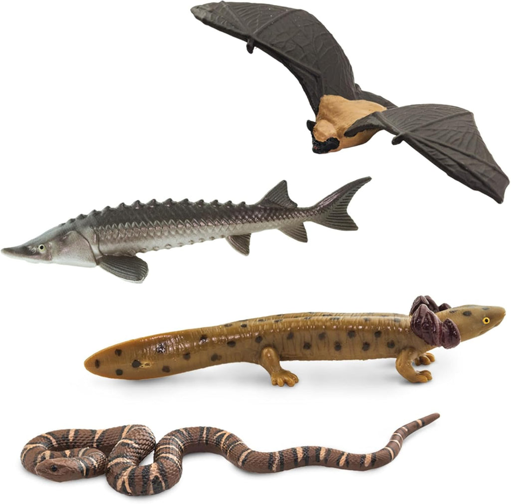 Safari Ltd. Great Lakes TOOB - Figurines of Mudpuppy, Dragonfly, Water Snake, Bat, Goose, Herring Gull, Blue Heron, Lynx, Sturgeon, Yellow Perch - Educational Toys for Boys, Girls & Kids Ages 3+