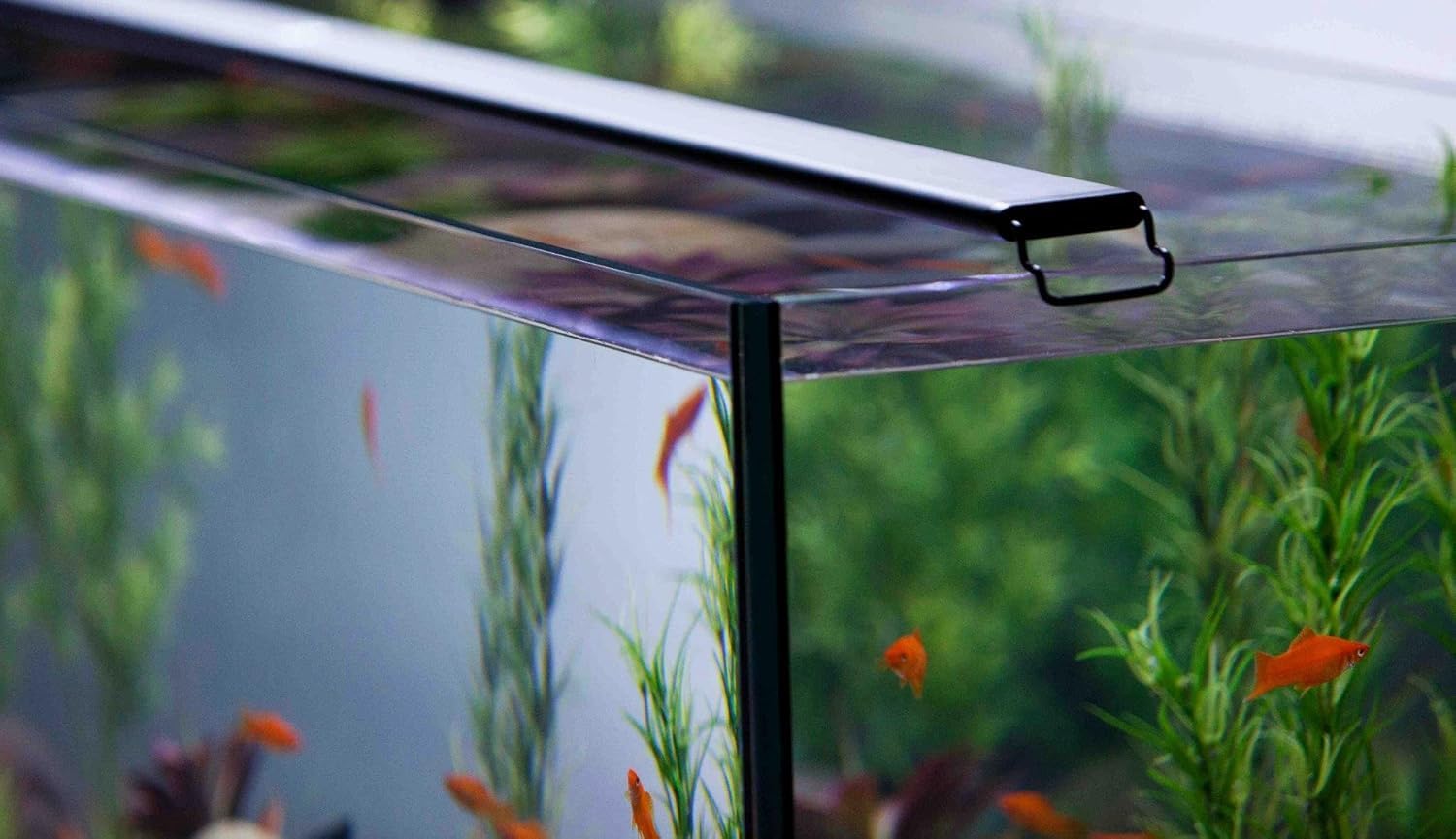 CURRENT USA 36-48" Satellite Color RGBW Full-Spectrum LED Aquarium Light - Freshwater, Wireless 24-Hour Timer, Adjustable Tank Mounts (4512)