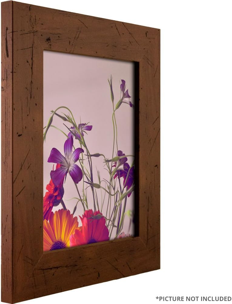 Craig Frames FM74DKW 13 by 19-Inch Picture Frame, Smooth Finish, 2-Inch Wide, Dark Brown