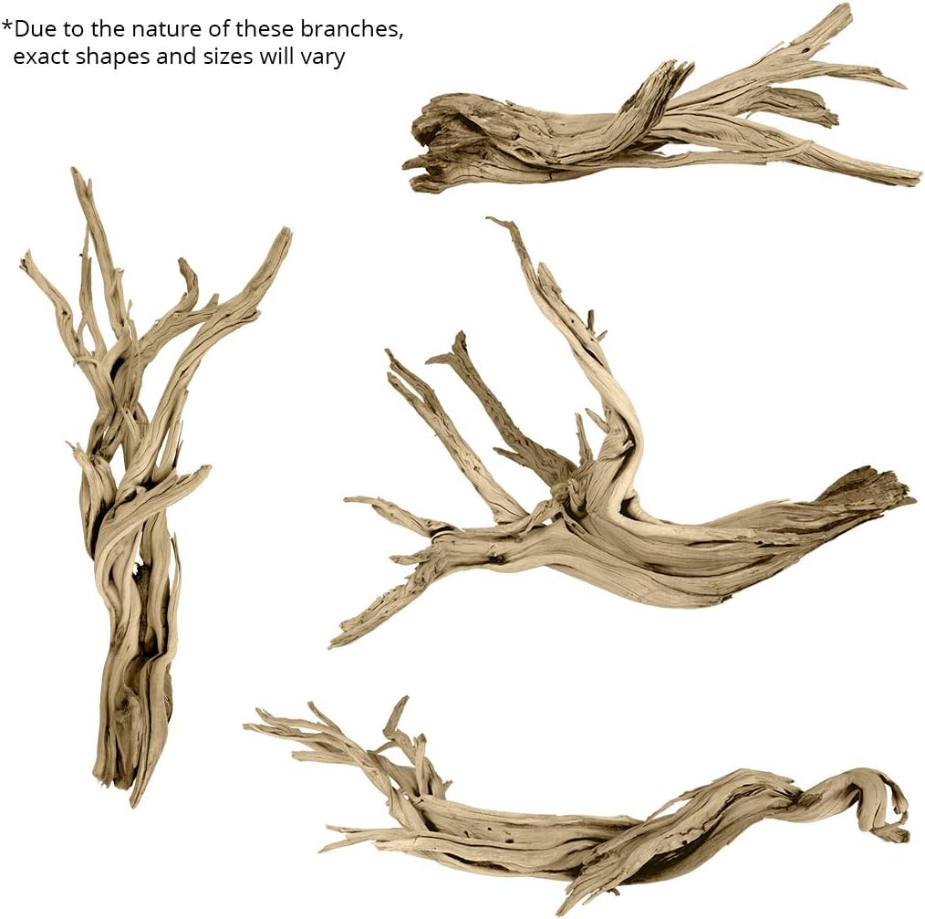 Koyal Wholesale 24" Driftwood Terrarium Decor, Clean California Manzanita Drift Wood Reptile Decor, Driftwood Decor for Home, Desert Reptile Supplies