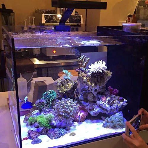 Aquarium Light –3rd Generation A029 Aquarium LED Light 30 Watts Saltwater Light with Touch Control, 5W LED Chips for Coral Reef Nano Fish Tank Marine Tanks with Timer & Screen (A029)