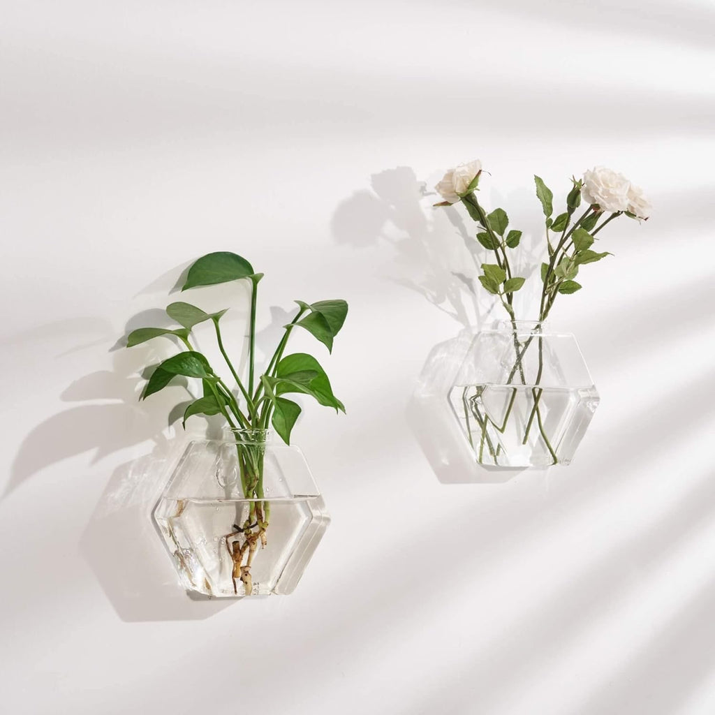 Glass Wall Planters 6PcsTerrarium Hanging Air Plant Holders Containers for Hydroponics Plants, Succulents, Herbs, Flowers (Hexagon)
