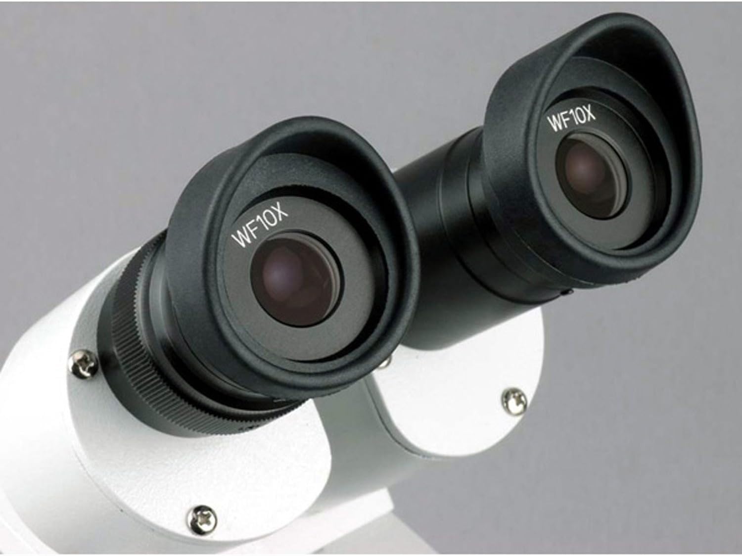 AmScope SE306R-PZ-3M 20X-40X-80X Forward Stereo Microscope + 3MP Digital Camera