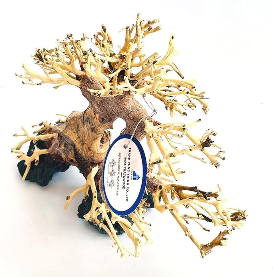 Bonsai Driftwood Aquarium Tree (8in H x 6in L), Handcrafted Fish Tank Decoration | Easy to Install Driftwood Bonsai for Fish Tank | Decor Aquascape Wood (Bonsai Tree On Rocks)