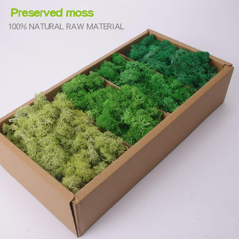 Preserved Moss-1.1lb 4 Color Mix Pack Reindeer Craft Moss, Green Moss Artificial Moss Suitable for Flowerbeds, Crafts, Home Office Artistic Decoration(Green Tones-1)