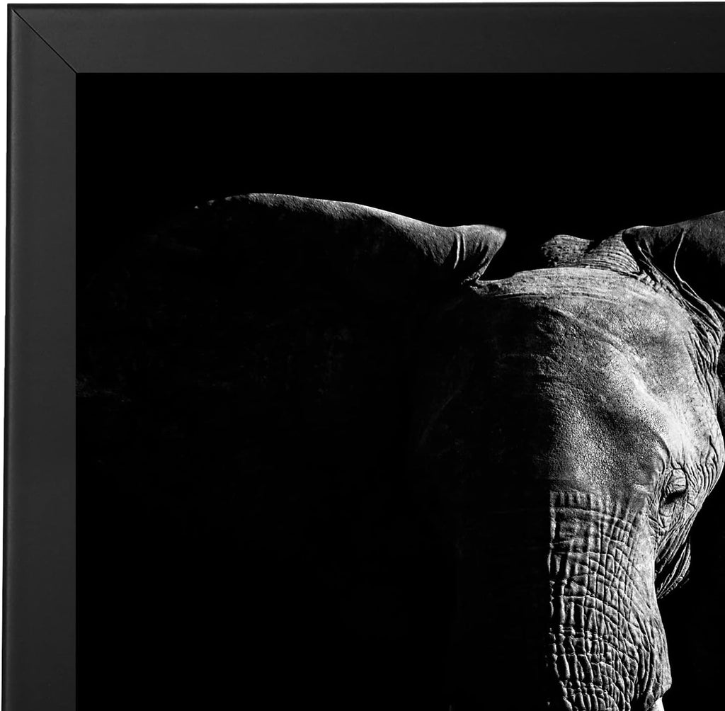 Americanflat 20x20 Picture Frame with Polished Plexiglass - Epic Collection - Square Picture Frame with Engineered Wood - Wide Photo Frames for Wall display - Black