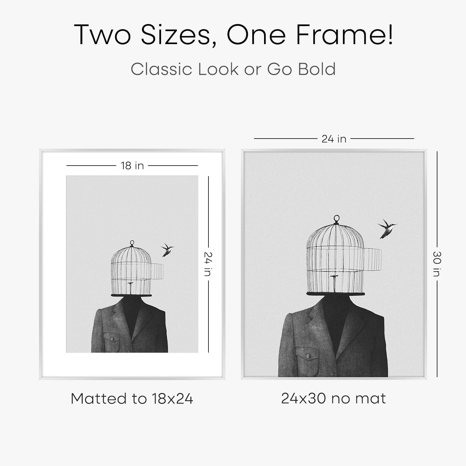 Homeforia Poster Silver Frame 24x30, High End Metal 24 x 30 Large Picture Frames with Mat 18 by 24 for Photo, 24x30 Silver Frames Matted to 18x24 Print, 30x24 Frame, Tempered Glass, Wall Kit, Set of 2