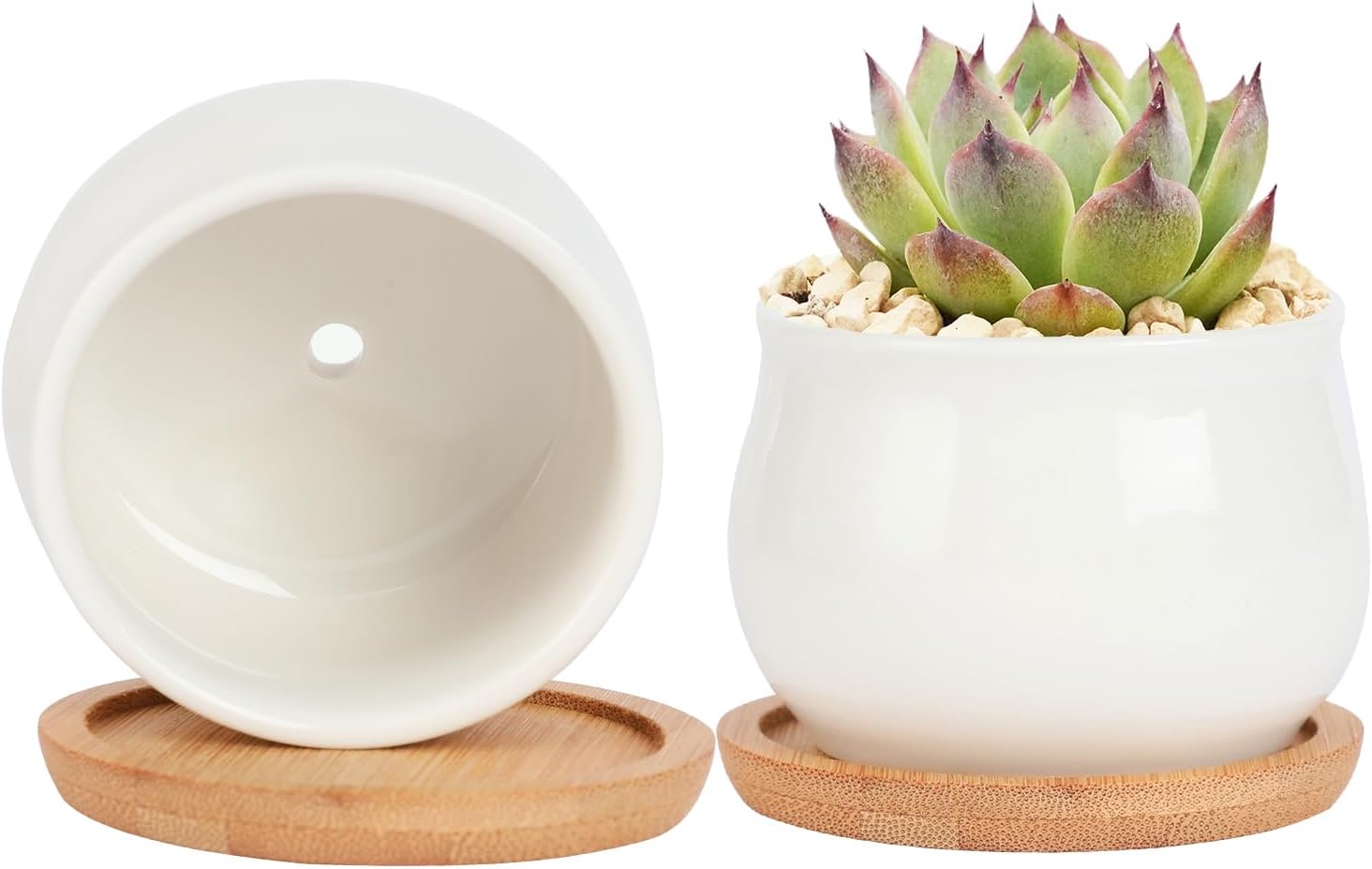 2 Pack Succulent Pots, 2.5 Inch Mini Ceramic Pots for Flower or Cactus Plants with Drainage Hole,Plants Not Included (White)