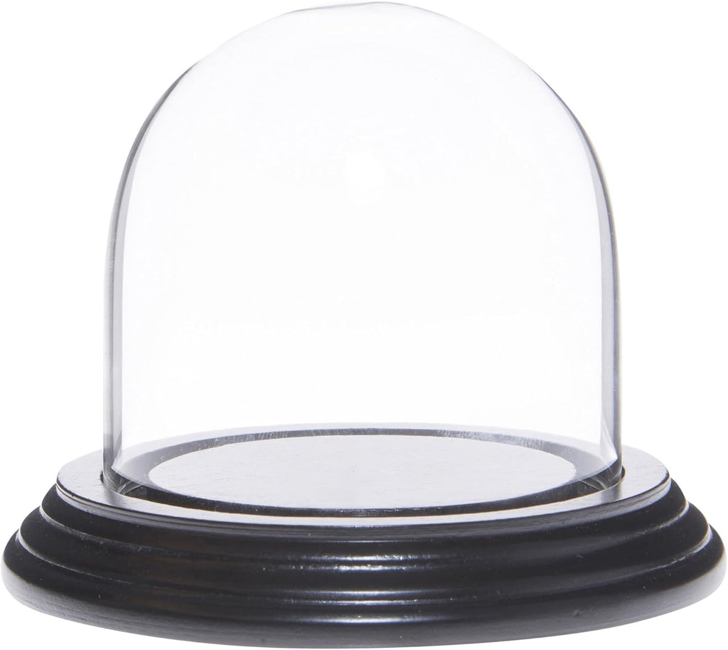 Plymor 3" x 3" Glass Display Dome Cloche (Black Wood Veneer Base)