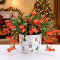 Christmas Cactus Live Plant 4 inch Pot, Christmas Flower Plant, Flower Succulents Plants, Holiday Christmas Cactus for Planting (Yellow Christmas Cactus)