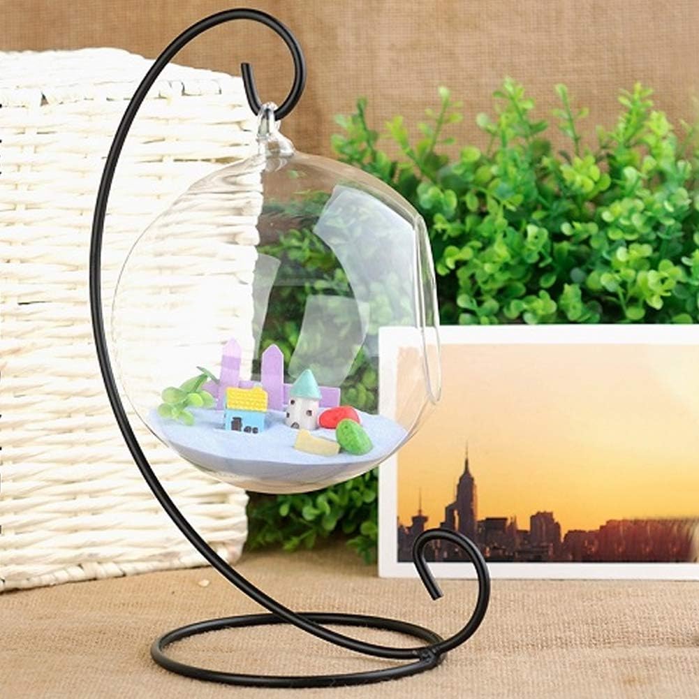 Large Clear Glass Terrarium Vase Hanging for Air Plants with Black Metal Stand Decorative Indoor Outdoor Easy to Hang Rustic Farmhouse Home Office Decor