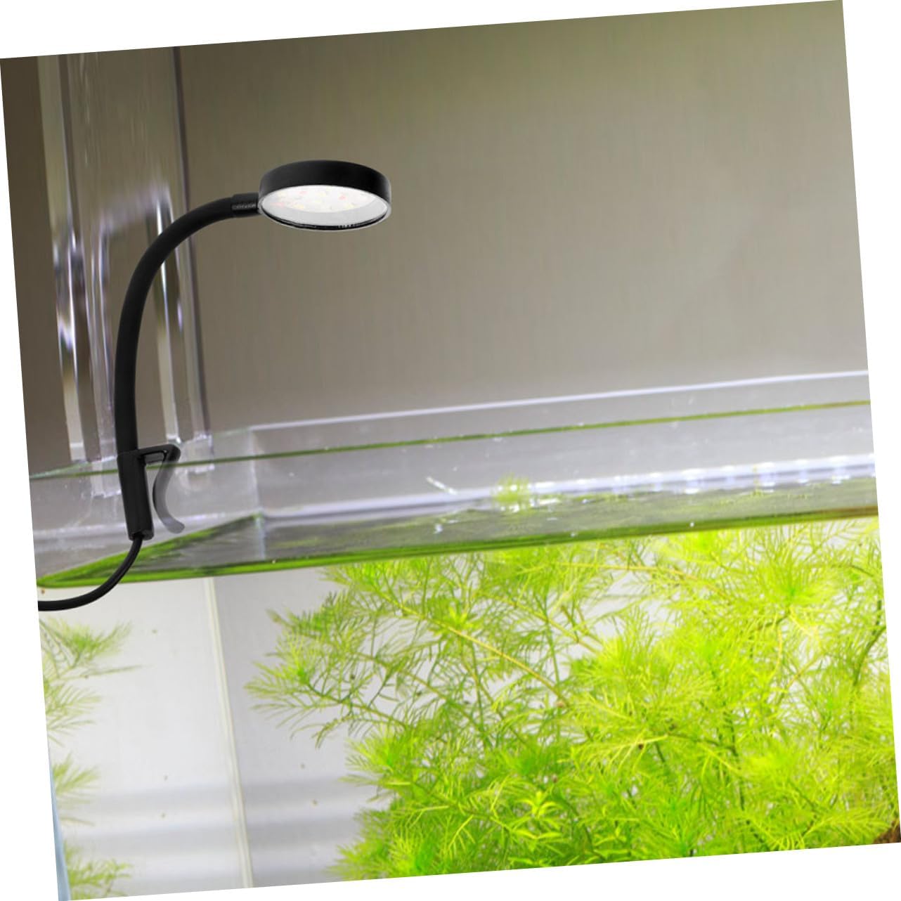 TEHAUX 2pcs Clip Aquarium LED Light Compact Fish Tank Lamp with Rotation USB Mini LED Light for Freshwater Tanks