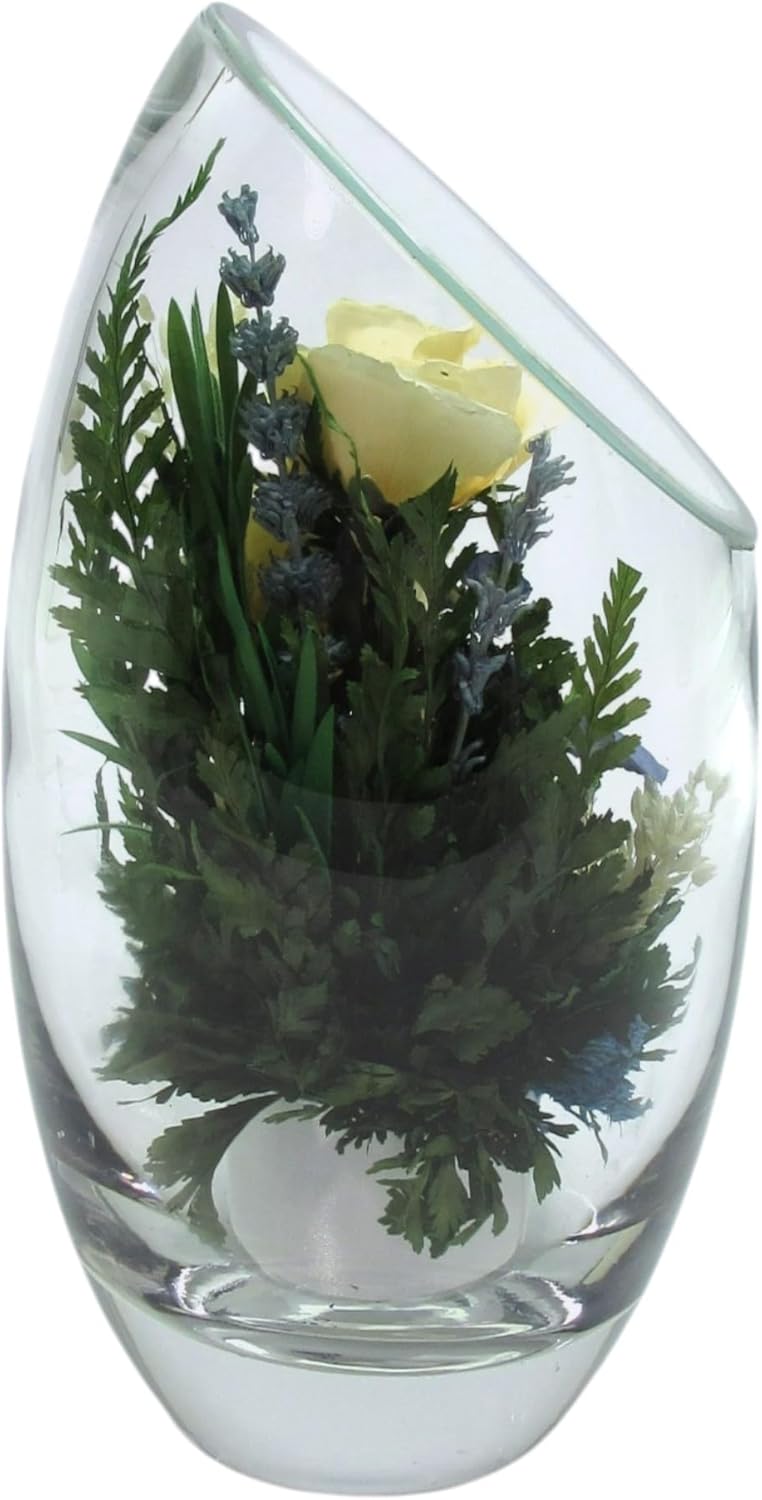 Fiora Flower | Preserved Roses & Floral Arrangement in Sealed Glass Vase | Lasts up to 5 Years | Elegant Gift for Weddings, Birthdays, and Anniversaries (Cream)