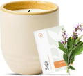 Modern Sprout Garden Vibes 2-in-1 Soy Candle & Planter - Golden Moments (Cali Lemon, Amber, Moss) 6 Oz Scented Candle with Sage Seeds - Dual Purpose Jar - 38-40 Hour Burn – Perfect Plant Lovers Gift