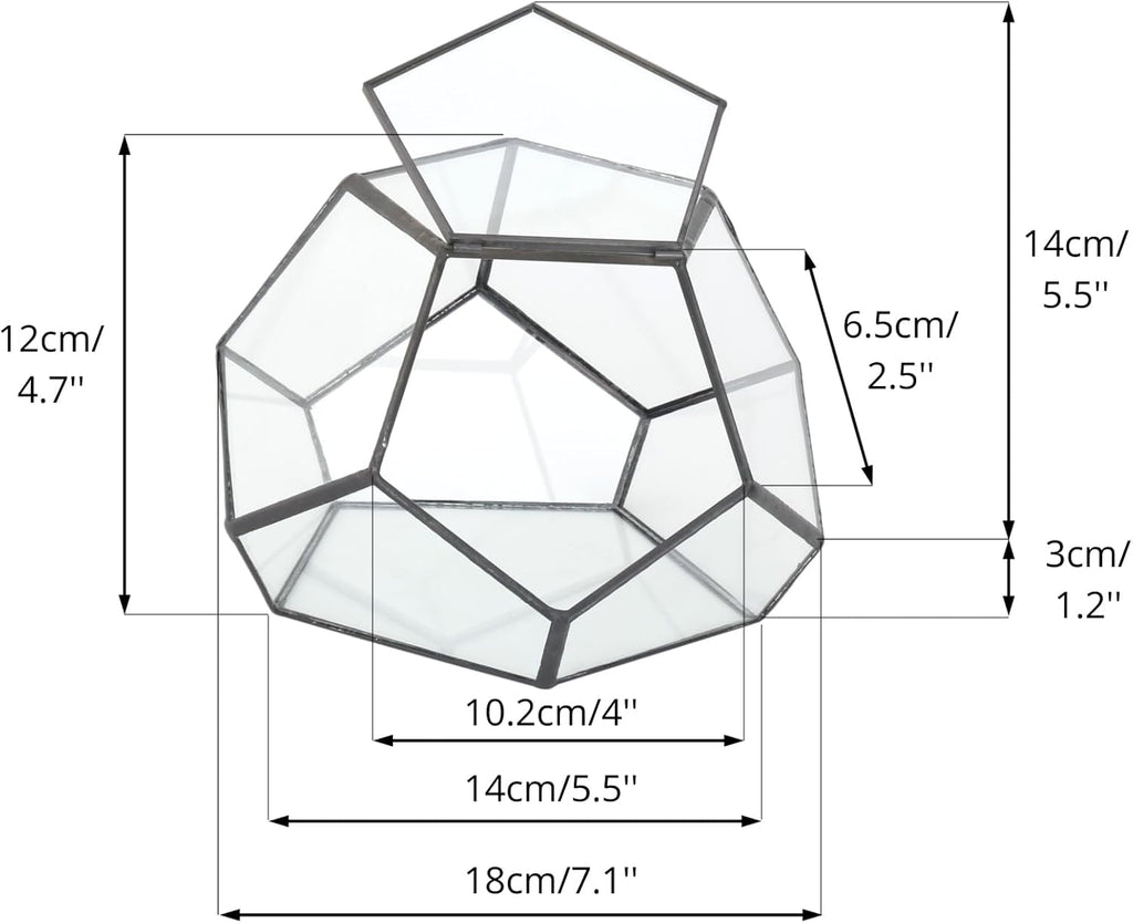 NCYP Small Glass Geometric Terrarium with Door -7.1x7.1x4.7 inches - Black Pentagon Closed Planter Pot for Succulents, Air Plants - Home Garden Office Tabletop Decoration Box (Terrarium Only)