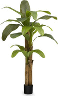Maia Shop 6ft Artificial Banana Tree Plant for House, Apartment or Office – Realistic Fake Indoor Plants for Living Room, Kitchen, Bedroom, Entryway or Bathroom – Faux Greenery for Home Décor
