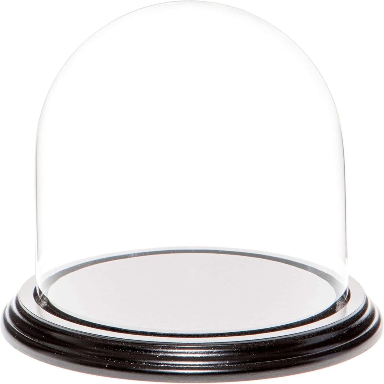 Plymor 5.5" x 5.5" Glass Display Dome Cloche (Black Wood Veneer Base)
