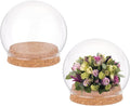 NBEADS 2 Sets Round Glass Display Dome, Mini Glass Cloche Dome Clear Glass Plant Terrarium Decor with Cork Base 3.94" in Diameter Jar Cloche for Flower Aquarium Christmas Party Office Home Decor