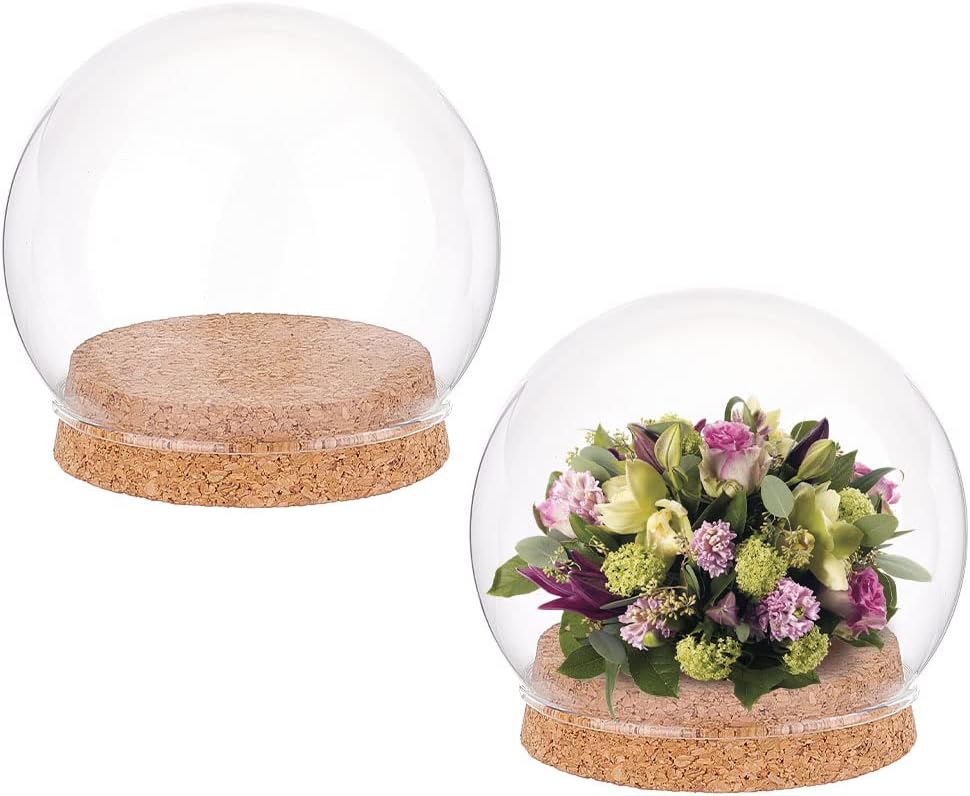 NBEADS 2 Sets Round Glass Display Dome, Mini Glass Cloche Dome Clear Glass Plant Terrarium Decor with Cork Base 3.94" in Diameter Jar Cloche for Flower Aquarium Christmas Party Office Home Decor