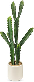 DILATATA 32.5" Tall Fake Cactus Plant Decorative Potted 'Euphorbia Accruensis' - Large Artificial Cactus for Home, Garden, Office Decor - Housewarming Gifts