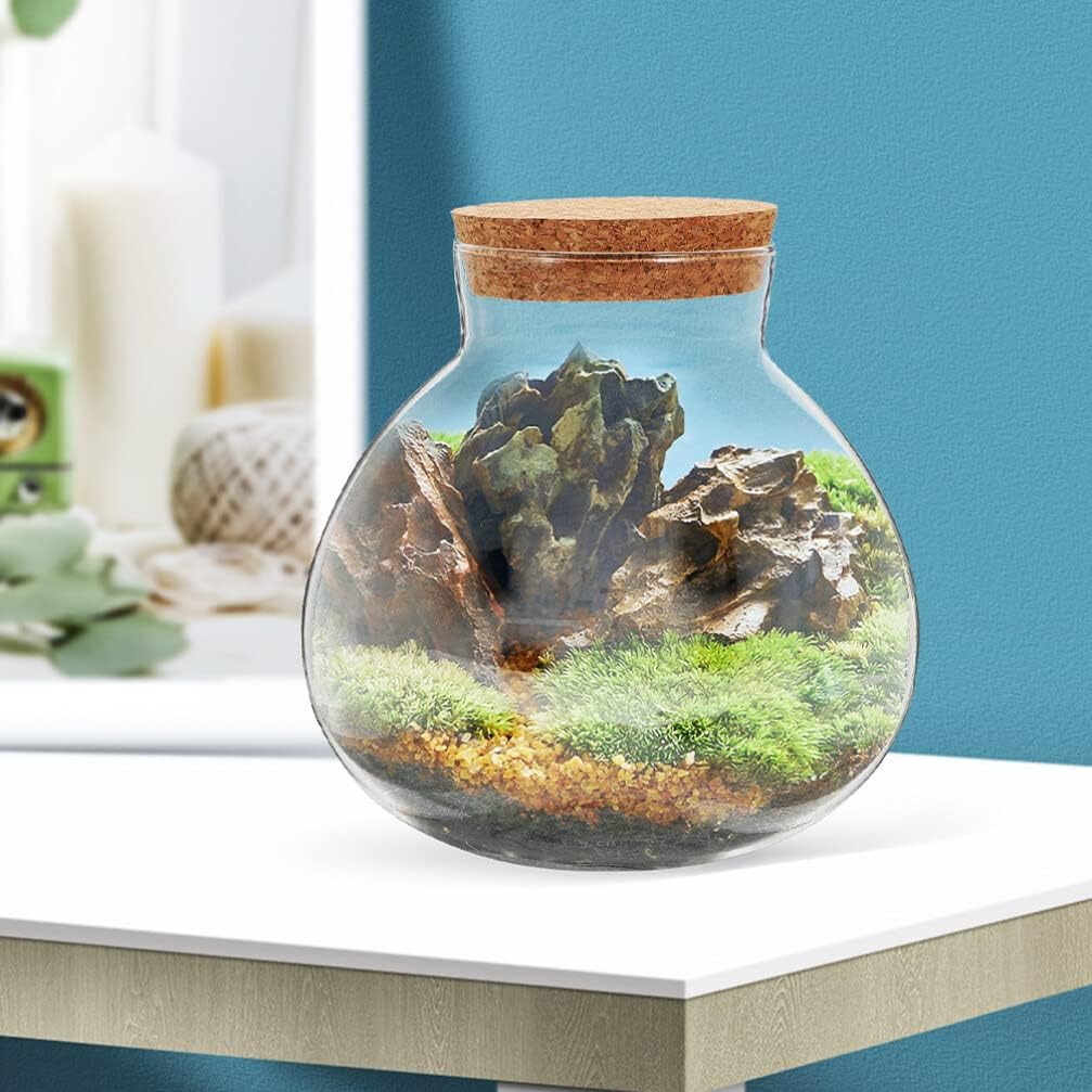 BESPORTBLE Ecological Bottle Set - 2Pcs Round Transparent Glass Terrarium Jars with Cork Lid for Miniature Landscape Decor