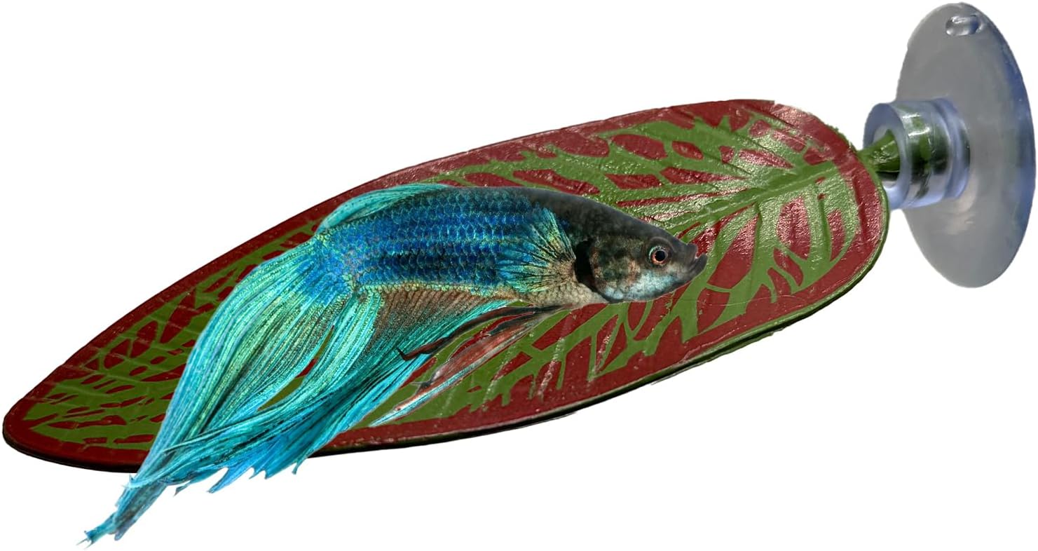 CTWPets Betta Fish Hammock, Aquarium Leaf Rest, Aquarium Betta Hide (Red & Green)