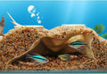 Pleco Cave, Two Hole Aquarium Cave & Shrimp Hideout, 3D Printed Fish Tank Tunnel Decor for Betta, Guppy, Shrimp, Cory, Small Cichlid (Yellow)