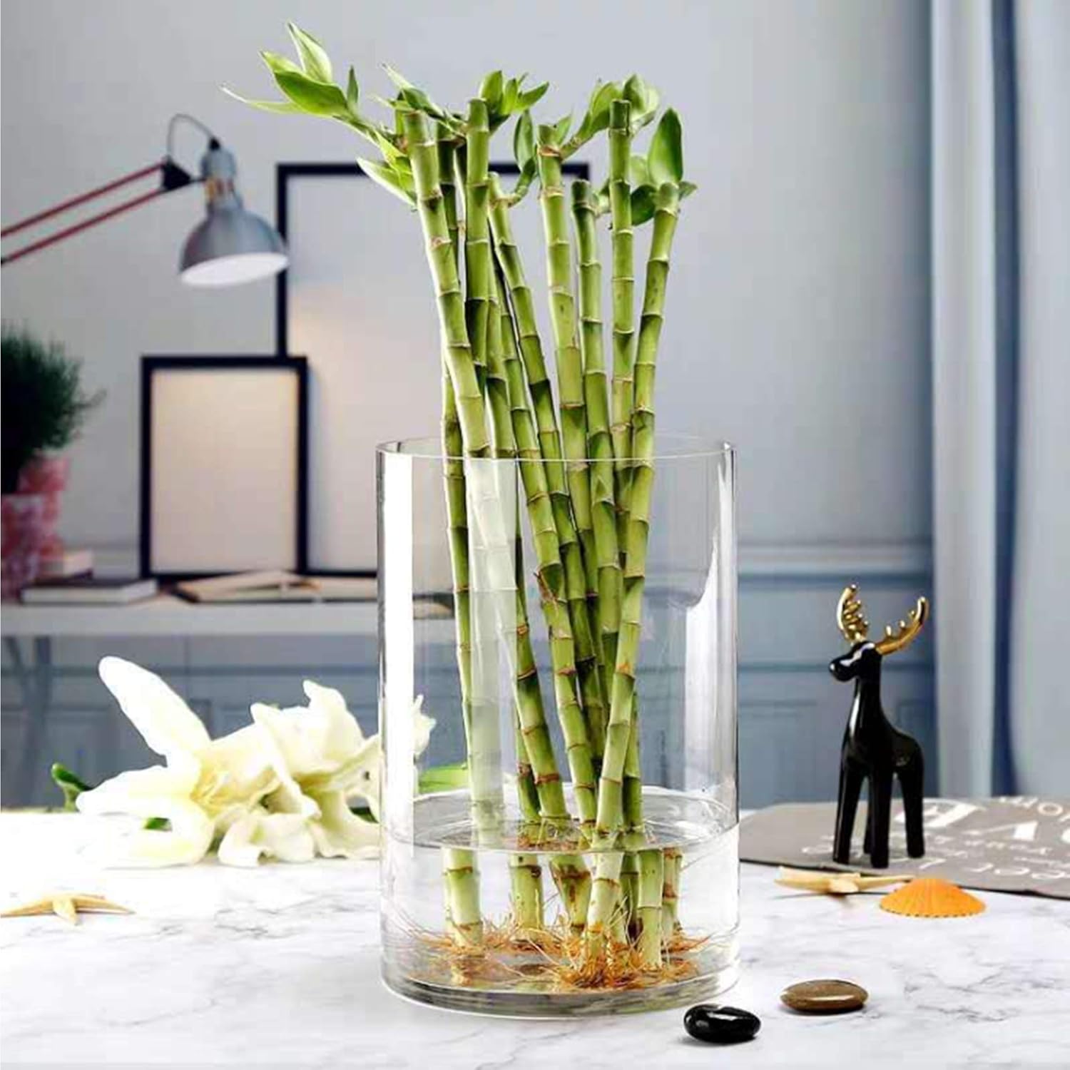 WGV Cylinder Vase, Width 8", Height 12", Clear Wide Large Diameter Flower Glassware, Floral Container, Planter Terrarium for Wedding Party Event, Home Accent Decor, 1 Piece