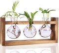 Kingbuy Glass Plant Terrarium Propagation Station - 3 Bulb Colored Vases with Retro Wood Stand Indoor Garden Planter - Wall Mounted & Desktop Decor for Home Kitchen Wedding, Gift for Plant Lover, Pink